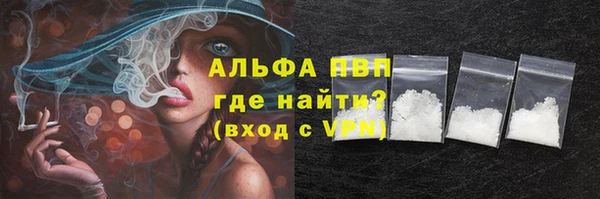 ешки Новодвинск