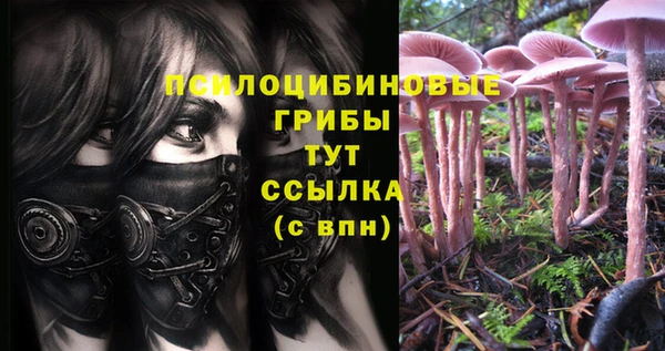 ешки Новодвинск