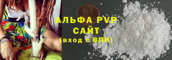стаф Гатчина