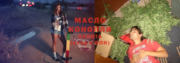 ешки Новодвинск