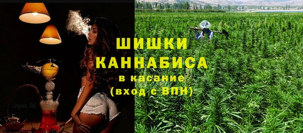 ешки Новодвинск